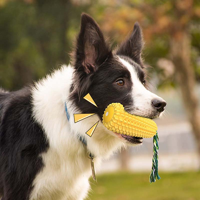 Corn Shape Squeaky Dog Toy Dur - Corn Dog Stick ulasan dan harga